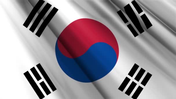 Close Realistico Tessitura Seta Raso Bandiera Della Corea Del Sud — Video Stock