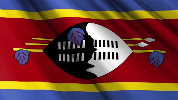 Cerca Tela Textura Realista Tela Seda Satén Bandera Eswatini Swazilandia — Vídeos de Stock