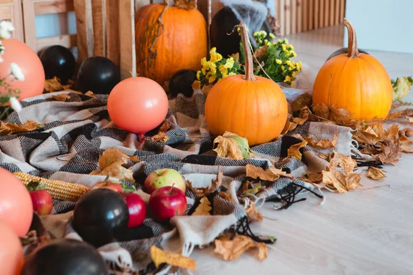 Pumpkins Fall Leaves Orange Balloons Plaid Corn Floor Halloween Horror — 图库照片