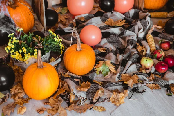 Pumpkins Fall Leaves Orange Balloons Plaid Corn Floor Halloween Horror — 图库照片