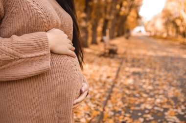 Cropped image of pregnant woman standing in autumn city park, holding stroking her round belly with baby child inside. Fall time, red orange and yellow leaves. Mother's love, pregnancy concept