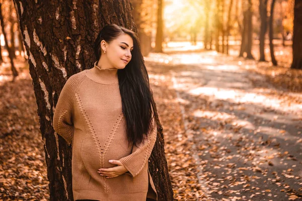 Pregnant Woman Standing Autumn City Park Forest Stroking Her Belly — Zdjęcie stockowe