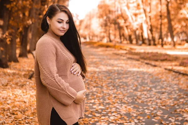 Pregnant woman standing in autumn city park forest, holding stroking her round belly with baby child inside. Fall time, red orange and yellow leaves. Mother's love, pregnancy concept