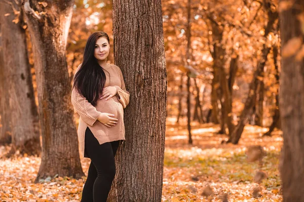 Pregnant Woman Standing Autumn City Park Forest Holding Stroking Her — Zdjęcie stockowe