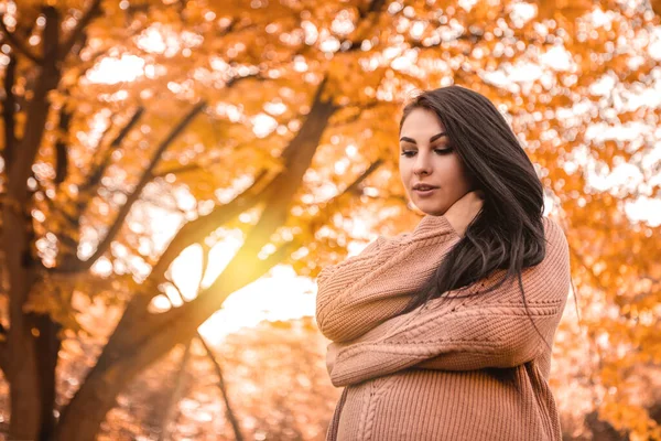 Pregnant woman standing in autumn city park forest, dressed warm woolen sweater, round belly with baby child inside. Fall time, red orange and yellow leaves. Mother\'s love, pregnancy concept