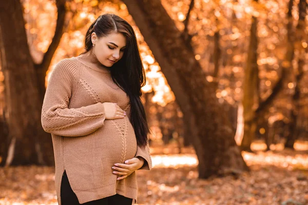 Pregnant Woman Standing Autumn City Park Forest Holding Stroking Her — Zdjęcie stockowe