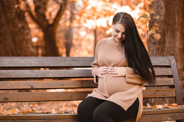 Pregnant Woman Sitting Bench Autumn City Park Forest Holding Stroking — Zdjęcie stockowe