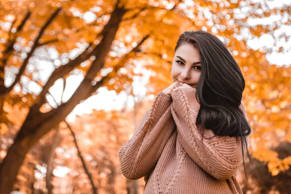 Pregnant woman standing in autumn city park forest, dressed warm woolen sweater, round belly with baby child inside. Fall time, red orange and yellow leaves. Mother\'s love, pregnancy concept
