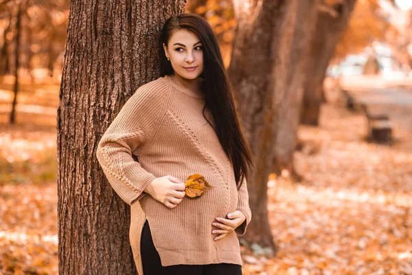 Pregnant Woman Standing Autumn City Park Forest Holding Stroking Her — Zdjęcie stockowe