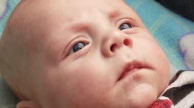 4K video kaydı. Bebek arabasında bebek arabasında uzanan, eğlenen, annesine bakan, gülümseyen yeni doğmuş bebeğe yakından bakın. Dışarıda sandalyede yürüyorum, temiz hava.