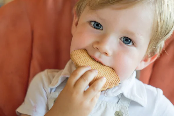 mavi gözlü bebek kurabiye yiyor.