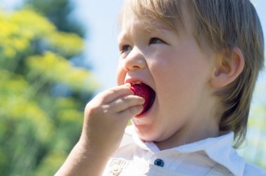 Sarı saçlı küçük oğlan çilek yiyor
