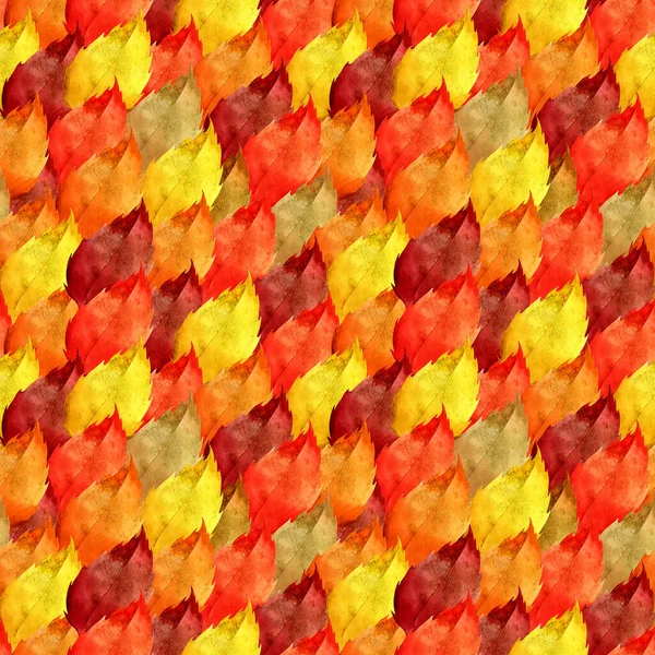 Nahtloses Muster Handgezeichnetes Farbenfrohes Aquarellmuster Aus Hellen Herbstblättern Für Ihre — Stockfoto