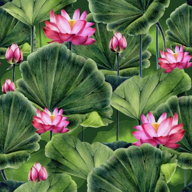 Pembe nilüfer deseni. Su pembesi bir zambak resmi. Renkli kalemler ve suluboya boyalarla el çizimi.