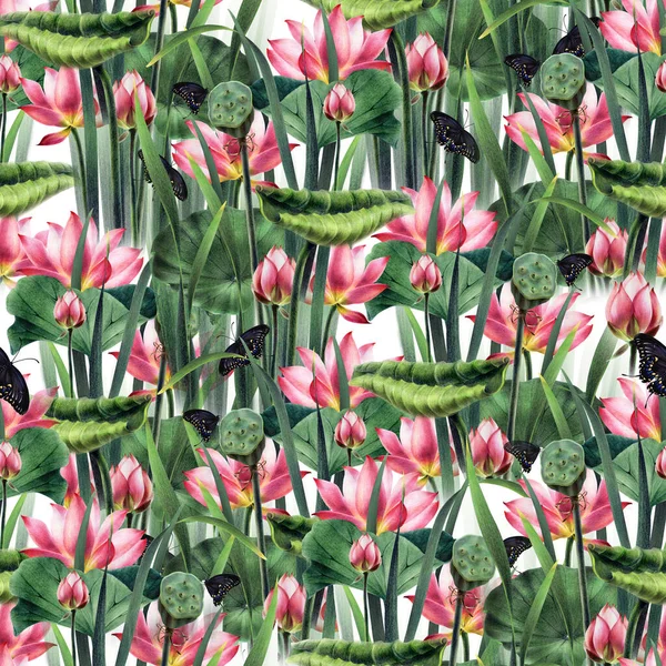 Rózsaszín Lótuszminta Egy Vízrózsaszín Liliom Képe Kézrajz Színes Ceruzákkal Akvarellekkel — Stock Fotó