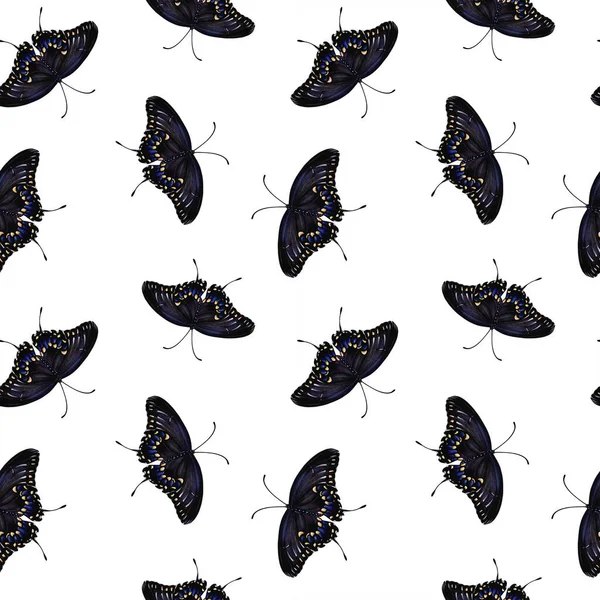 Modello Grandi Farfalle Nere Coda Forcuta Possibile Utilizzarlo Stampe Tessuto — Foto Stock