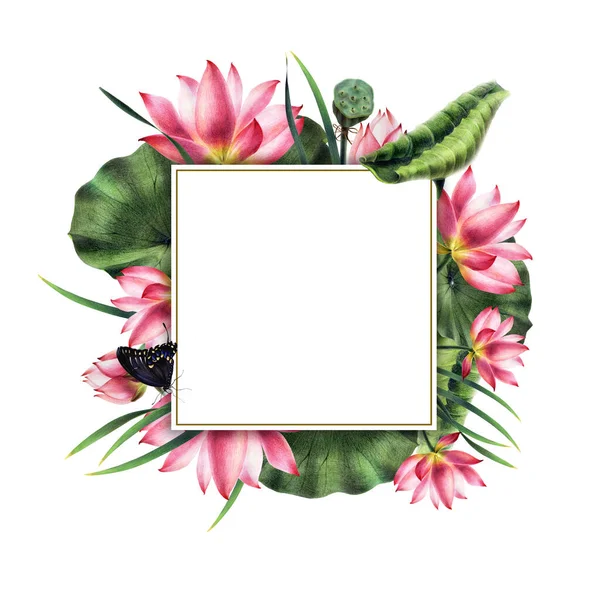 Rama Jest Ręcznie Malowany Kwadrat Różowymi Kwiatami Lotosu Pąki Zielone — Zdjęcie stockowe