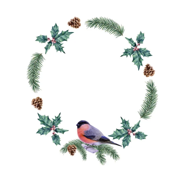 Raster Illustration Coniferous Wreath Bullfinch Bird Christmas Illustration Winter Theme — Fotografia de Stock