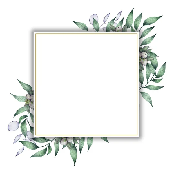 Square Frame Eucalyptus Plant White Berries Red Bow Drawn Colored — 스톡 사진