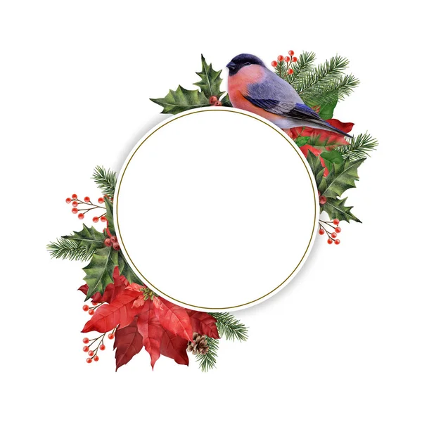 Frame Coniferous Branches Poinsettia Bullfinch Bird Greetings Announcements Invitations Christmas — Fotografia de Stock