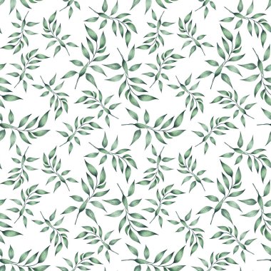 Okaliptüs yapraklarının kusursuz deseni.