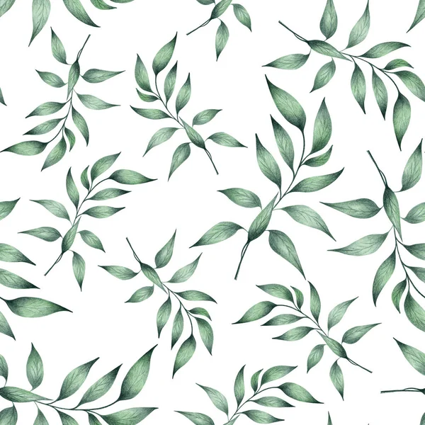 Seamless Pattern Eucalyptus Leaves — Stock Fotó