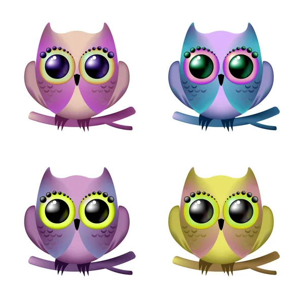 Set Four Owls White Background Bright Colorful Birds Birds Set Royalty Free Stock Images