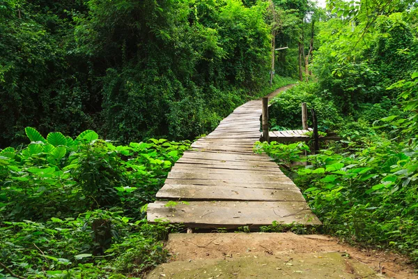 Houten brug. — Stockfoto