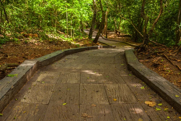 Weg auf den Berg. — Stockfoto