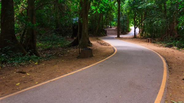 Weg. — Stockfoto