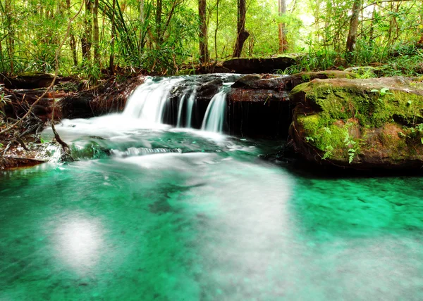 Diseño de paisaje de cascada . —  Fotos de Stock