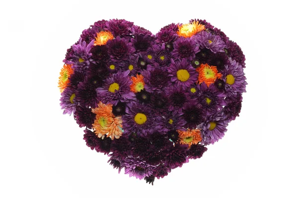 Sevgiliye çiçek kalp arka plan. — Stok fotoğraf