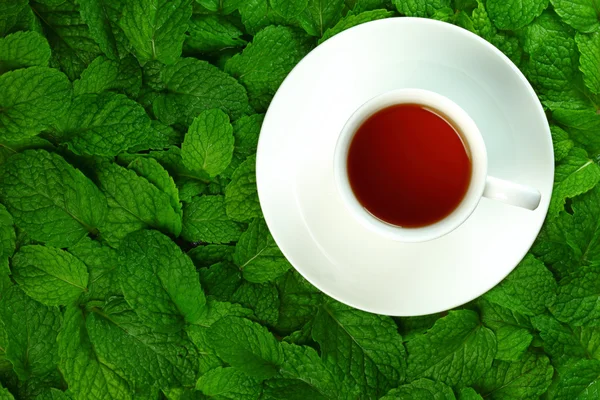 Tea and mint leaves. — Stock Photo, Image