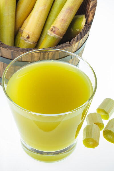 Molasses and sugar cane.