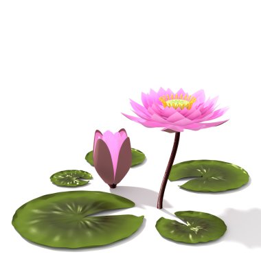 3D lotus.