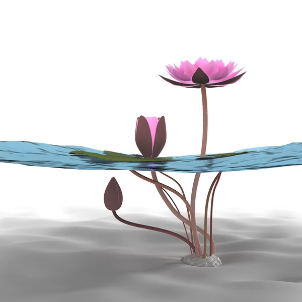 3D lotus. — Stok fotoğraf