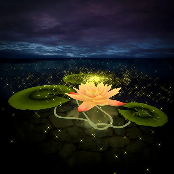 3D lotus. — Stok fotoğraf