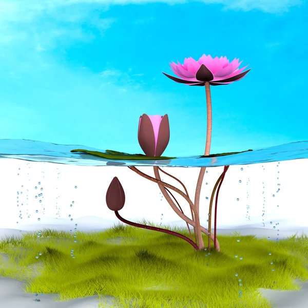 3d lotus. — Stock Photo, Image