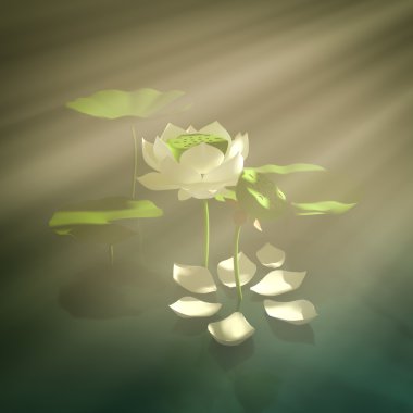 Sisin içinde Lotus.