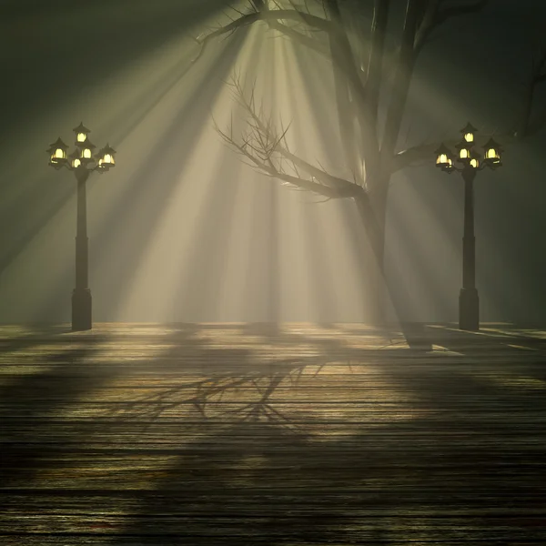 Luce nella nebbia. — Foto Stock