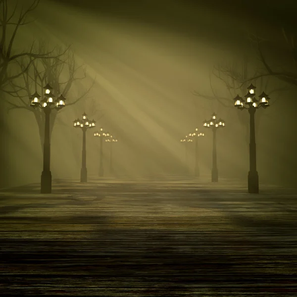 Свет в тумане . — стоковое фото