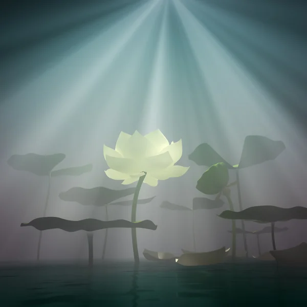 Lotus dans le brouillard . — Photo