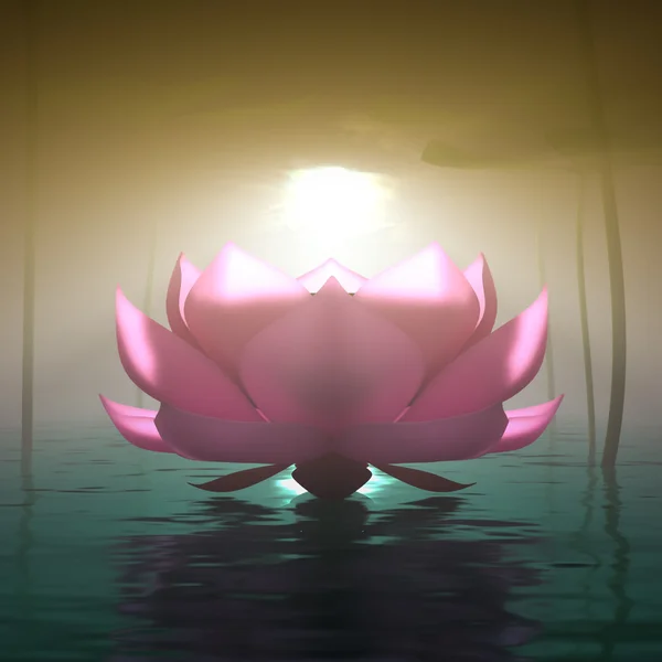 Lotus dans le brouillard . — Photo