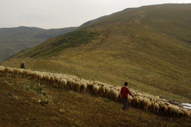 rila mountains, Bulgaristan için çoban
