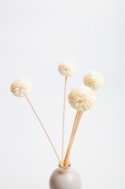 ev parfüm ve süslemeler