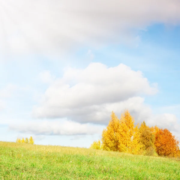 Piękny krajobraz z zieloną trawą i chmury na niebie — Zdjęcie stockowe