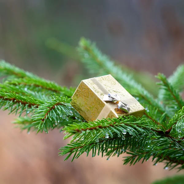 Épicéa décoré avec un cadeau — Photo