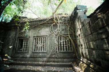 Beng Mealea, Angkor, Kamboçya harabeleri