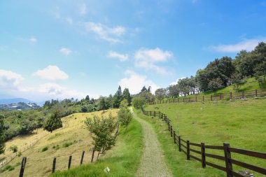 cingjing Çiftliği'nde Tayvan