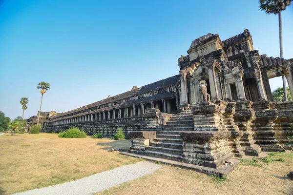 Angkor wat tempel — Stockfoto